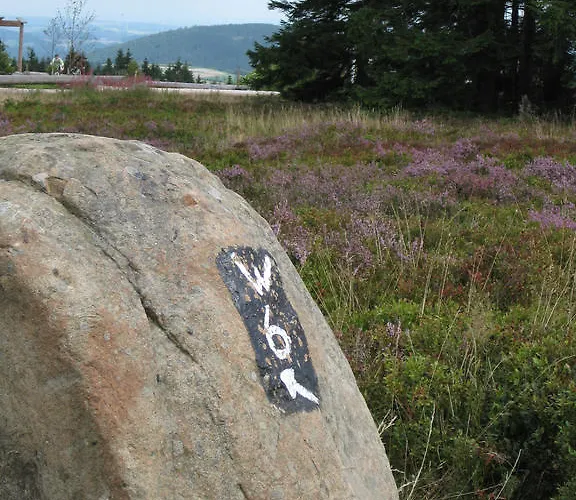 Апартаменты Haus Kloosterman Винтерберг