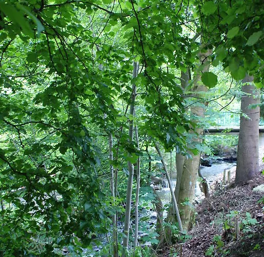 Апартаменты Haus Kloosterman Винтерберг